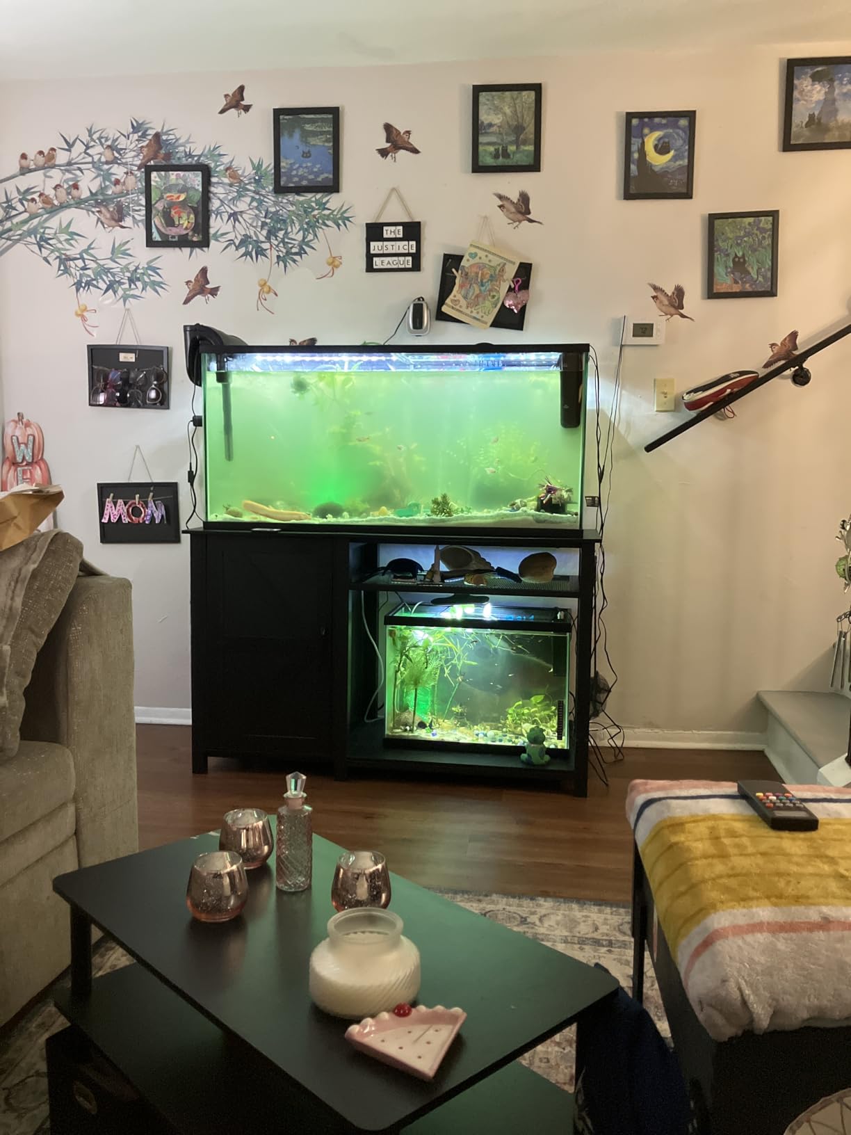 55-75 Gallon Aquarium Stand with Power Outlet, Heavy Duty Fish Tank Stand with Cabinet Storage & Adjustable Shelf, for Fish Tank, Turtle Tank, Reptile Terrarium, 1000LBS Capacity, Black customer photo 1