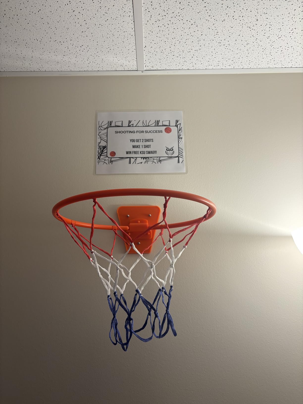 Indoor Silent Basketball Hoop, Compatible with Size 7 Basketball (No Ball Included), Foldable Adhesive Wall-Mount No-Drill Hoop for Bedroom, Office & Home, Space-Saving Design customer photo 2