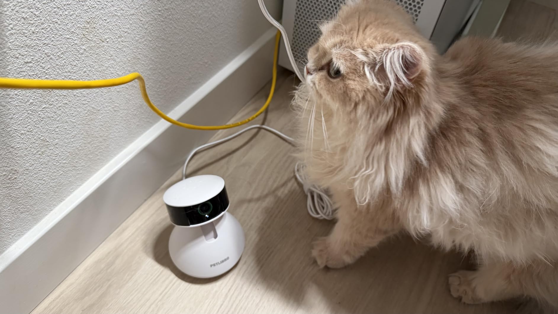 PETLIBRO AI Dog Camera Pet Camera Indoor with Phone App [Multi-Pet Recognition, Daily Activity Analysis & Smart Summaries] Cat Cam 360° View customer photo 2
