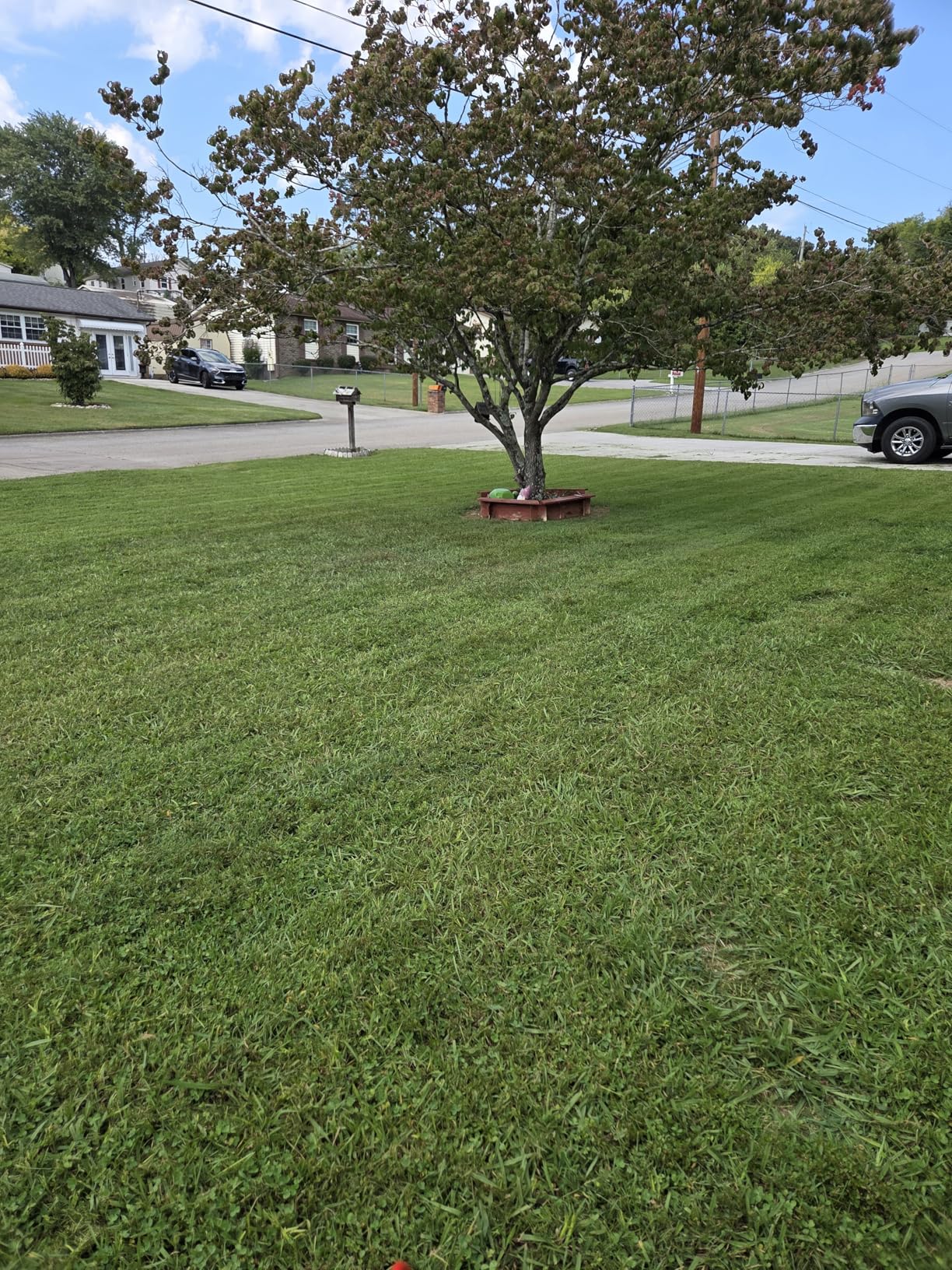 Suchtale Lawn Striping Kit for Push Mowers, Heavy-Duty Stainless Steel Roller, Universal DIY Lawn Striper with Large Easy-Fill Sand Port & Funnel customer photo 1