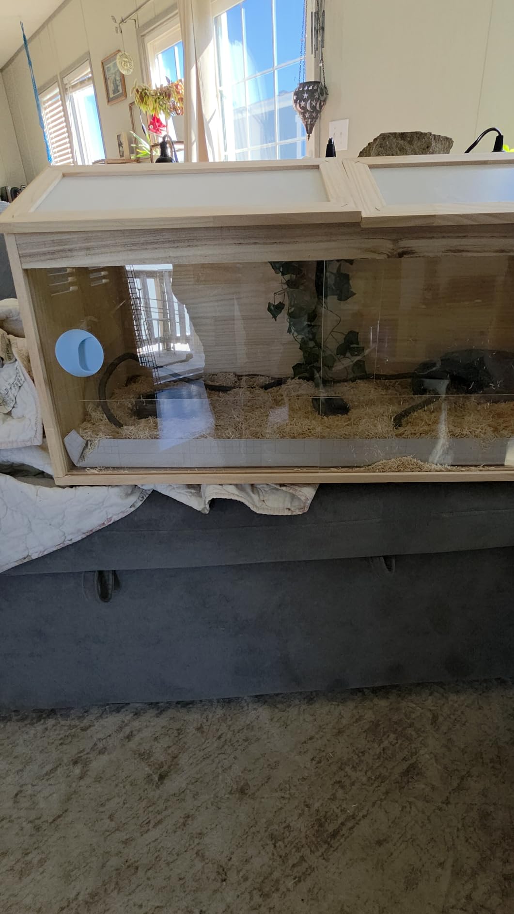 FATMOZ 33 Gallon Reptile Terrarium with Stand 2.7x14.5x16.3 Ball Python Tank for Snake/Bearded Dragon/Lizard Reptile Tank with Ventilation Holes Waterproof Liner Screwdriver customer photo 2