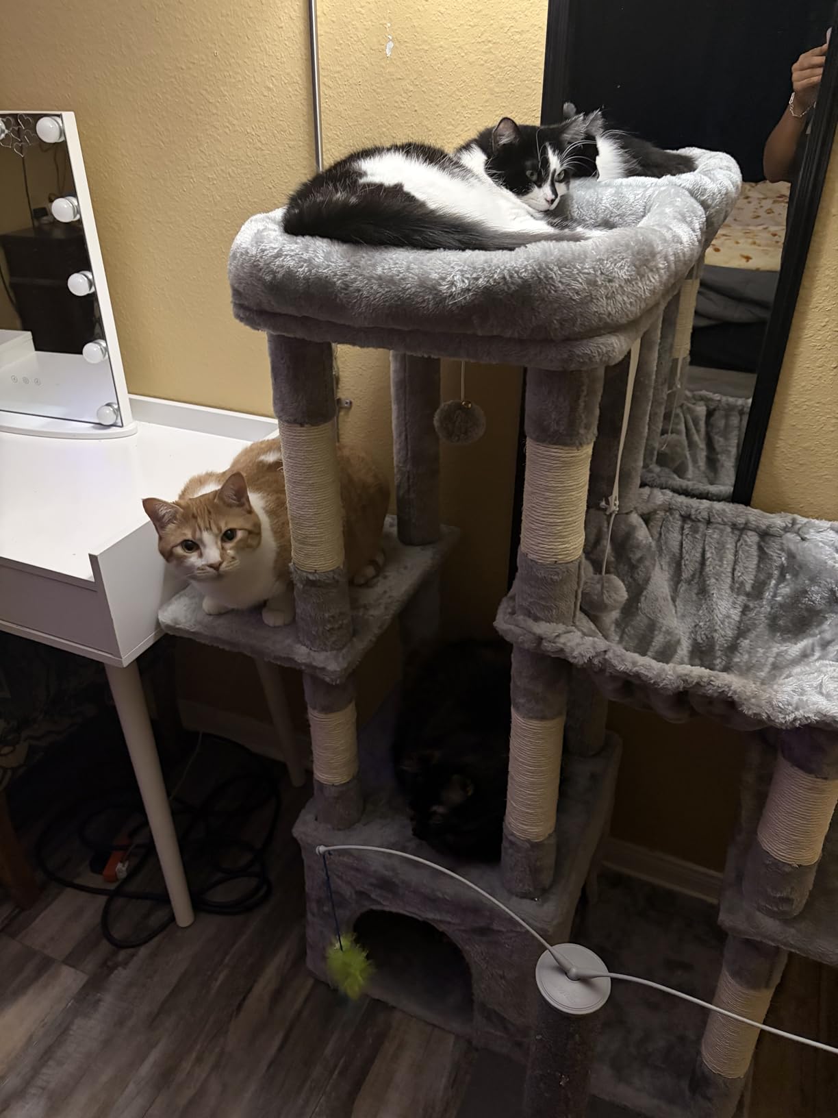 Heybly Heavy Duty Cat Tree, Tower for Indoor Cats Large Adult, Tall Cat Condo House with Extra-Large Baseboard, Multi-Level Plush Furniture with Scratching Posts, Hammock,Toy Balls,Light Gray HCT026W customer photo 2