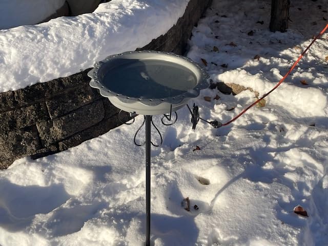 Heated Bird Bath for Outside Winter, Powerful 100W Thermostat Control Heated Bird Baths for Outdoors with 5-Prong Metal Stake, Heated Birdbath Water Heater for Garden Yard Patio Lawn (Green) customer photo 2