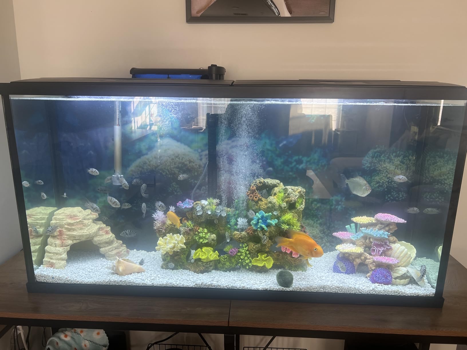 55-90 Gallon Fish Tank Stand with Power Outlets, 2-Tier Aquarium Stand with LED Light Strip & Open Storage Shelves, Heavy Duty Metal Table for Reptile Tank, 1150 LBS Capacity, Light Brown and Black customer photo 1