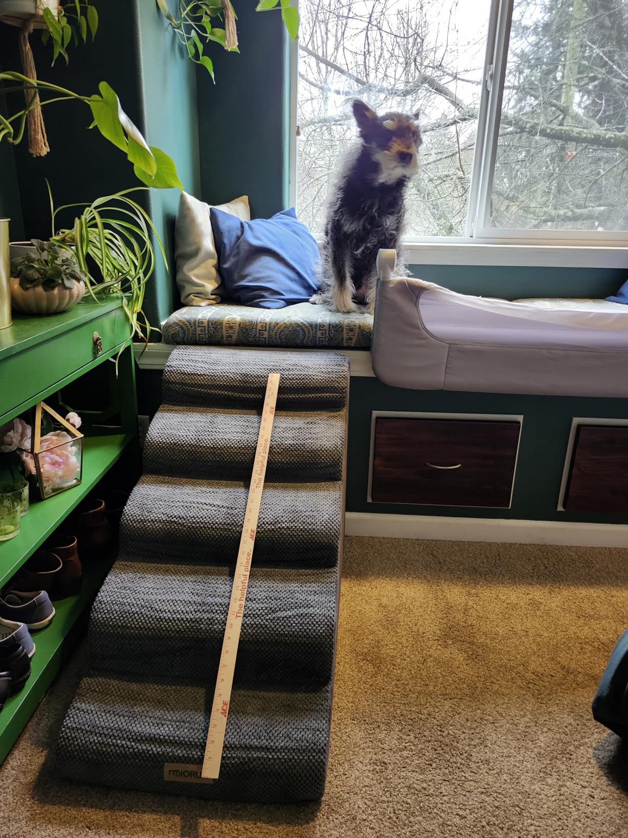 Extra Wide Dog Stairs for Large Dogs Up to 80lbs, 25