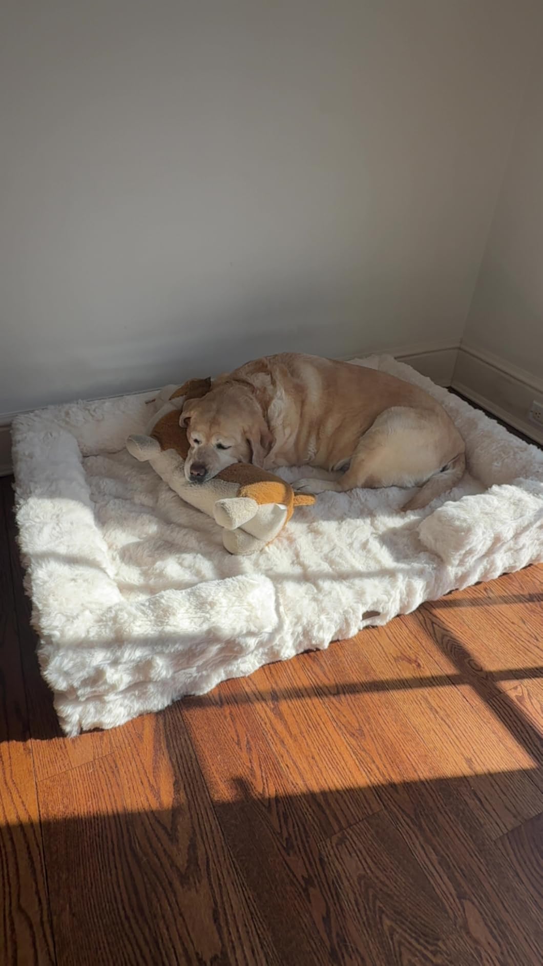 COZY KISS Orthopedic Dog Bed for Extra Large Dog, Soft and Warm Faux Fur Sofa for Giant Pet Up to 150 lbs, Foam Bolster Anti-Slip Couch with Washable Removable Cover, XXL 48x35x8 inch, Tie Dye Grey customer photo 1