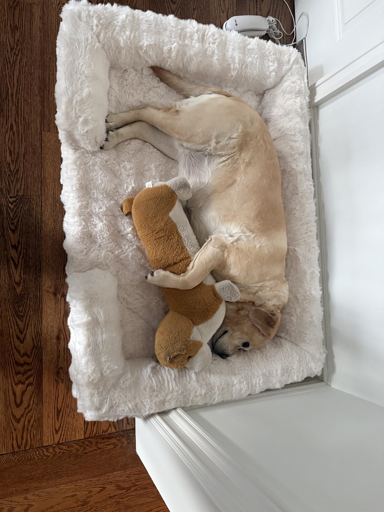 COZY KISS Orthopedic Dog Bed for Extra Large Dog, Soft and Warm Faux Fur Sofa for Giant Pet Up to 150 lbs, Foam Bolster Anti-Slip Couch with Washable Removable Cover, XXL 48x35x8 inch, Tie Dye Grey customer photo 2