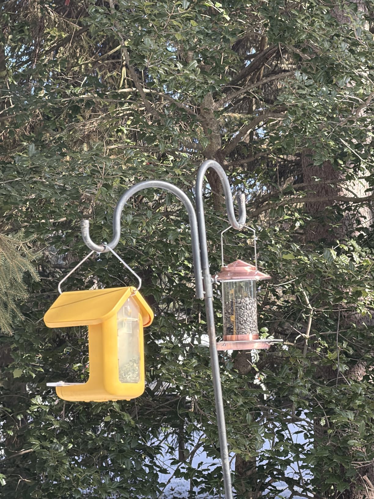 iBorn Bird Feeder Metal Squirrel Chew-Proof Bird Feeders for Outdoors Hanging Outside for Cardinal, Holds 1.5LB Seed with 3 Perchs, Brushed Copper customer photo 2