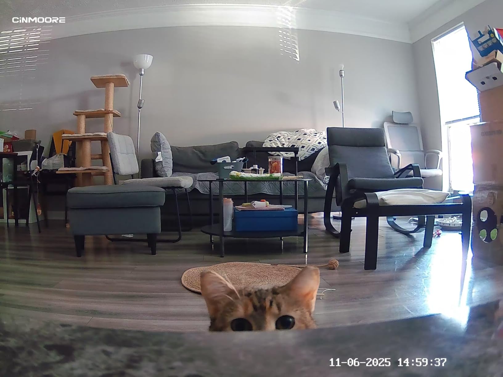 2.5K Pet/Dog Camera with Speaker/Phone App, No-Monthly-Fee AI Person/Pet/Cry Detection Security Camera Indoor, PTZ 2.4GHz WiFi Baby Monitor customer photo 1