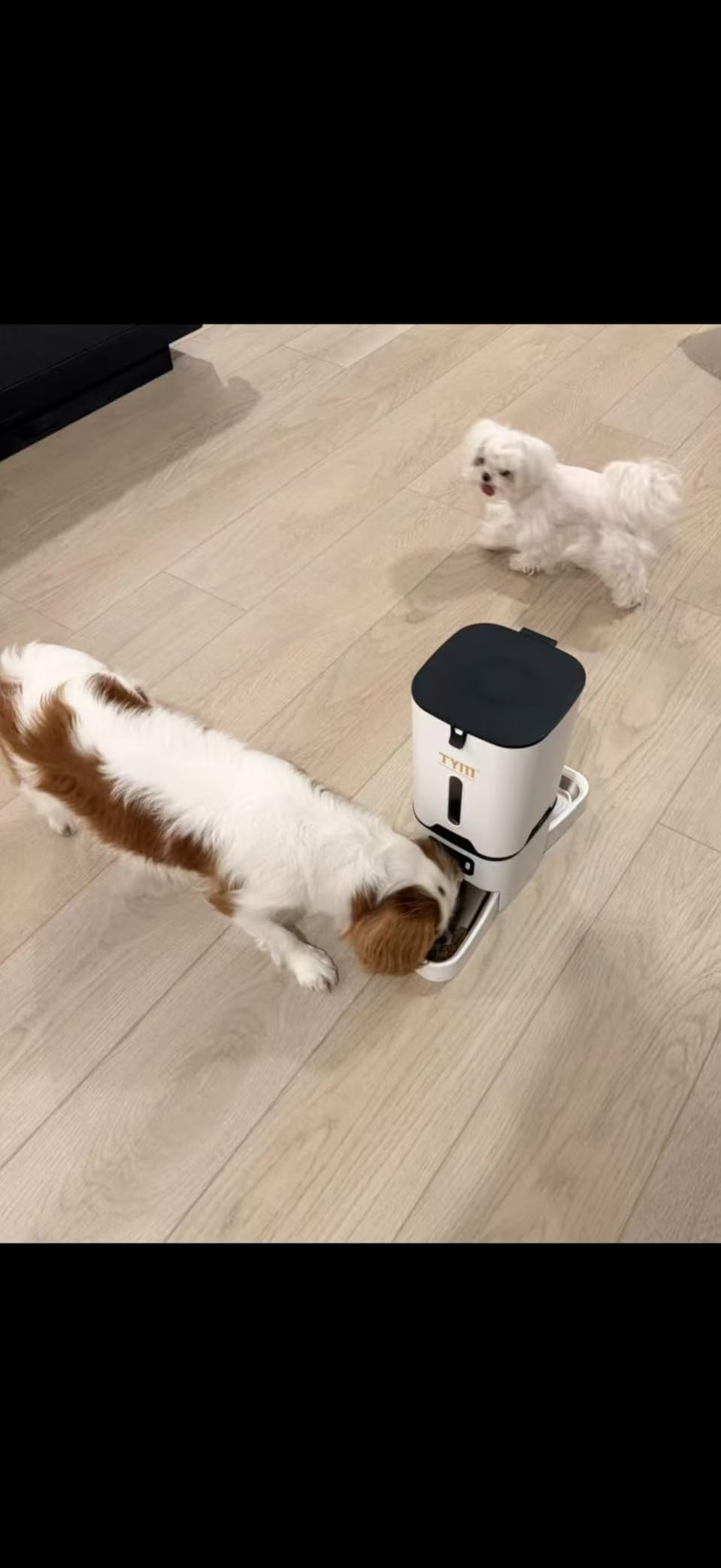 TYM Automatic Cat Feeder with 2 Camera for 2 Cats, 7L Dog Food Dispenser with Night Vision 2K 4MP, 5G WiFi Dual Auto Cat Feeder with Smart App for Multiple Cats & Small Dogs, Detachable for Clean customer photo 2