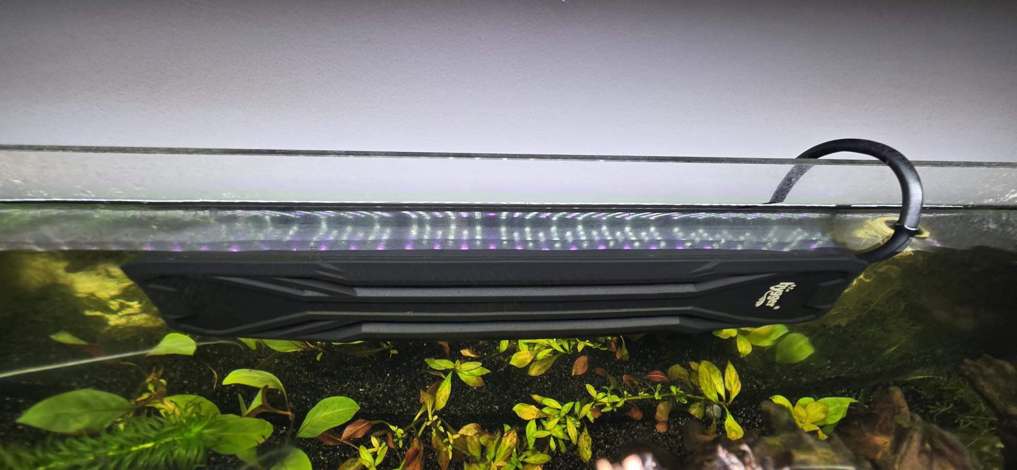 hygger 300W Aquarium Heater, Upgraded Submersible Fish Tank Heater with Dual Protection System & LED Digital Display, with Automatic Power-Off Function, for 40-80 Gallons Freshwater and Saltwater Tank customer photo 1
