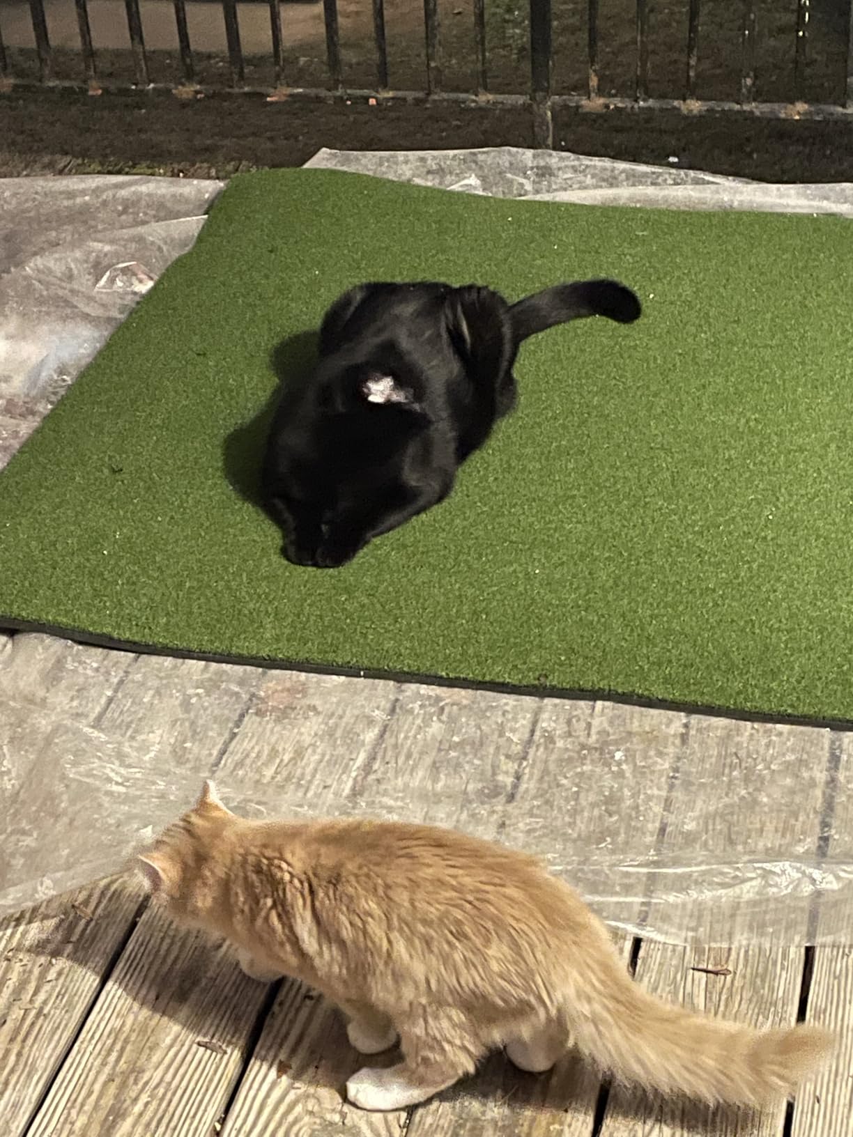 Golf Mat, 5x4ft/6x4ft Large Golf Hitting Mats for Practice Outdoor Indoor, 26mm Thick, High-Elasticity Artificial Turf Mat for Garage Simulator Chipping Driving Swinging Training, Gifts for Him Men customer photo 1