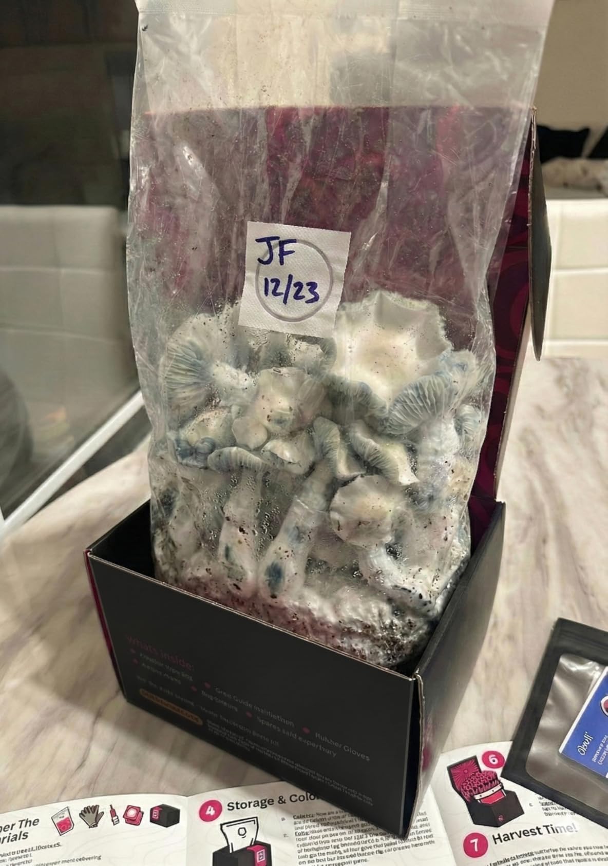 Mushroom Grow Kit - All-in-One 4LB Grow Bag with Injection Port - Fast-Colonizing Premium Substrate for Exotic & Gourmet Fungi - Multi-Flush High-Yield - USA Made customer photo 1