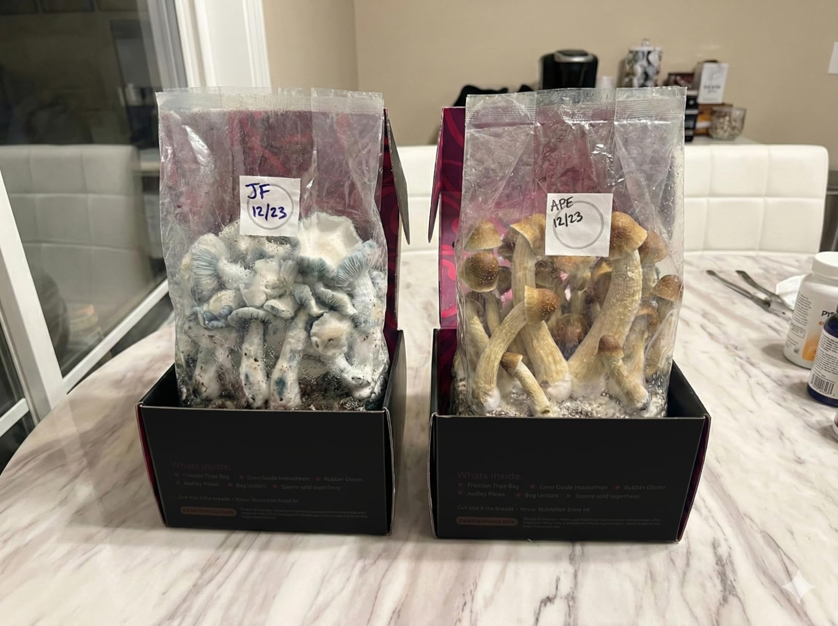 Mushroom Grow Kit - All-in-One 4LB Grow Bag with Injection Port - Fast-Colonizing Premium Substrate for Exotic & Gourmet Fungi - Multi-Flush High-Yield - USA Made customer photo 2