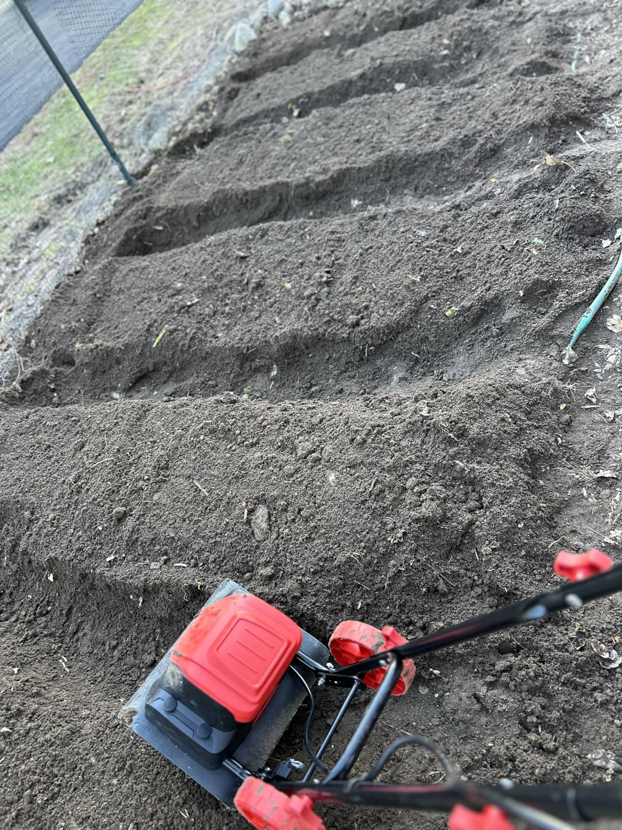 MZK 12-Inch 10.5 Amp Corded Electric Tiller/Cultivator for Gardening, 8-inch tillling Depth, Powerful and Lightweight Tiller, Electric Garden Rototiller for Lawn/Yard/Garden Soil Digging,TC12A03 customer photo 1
