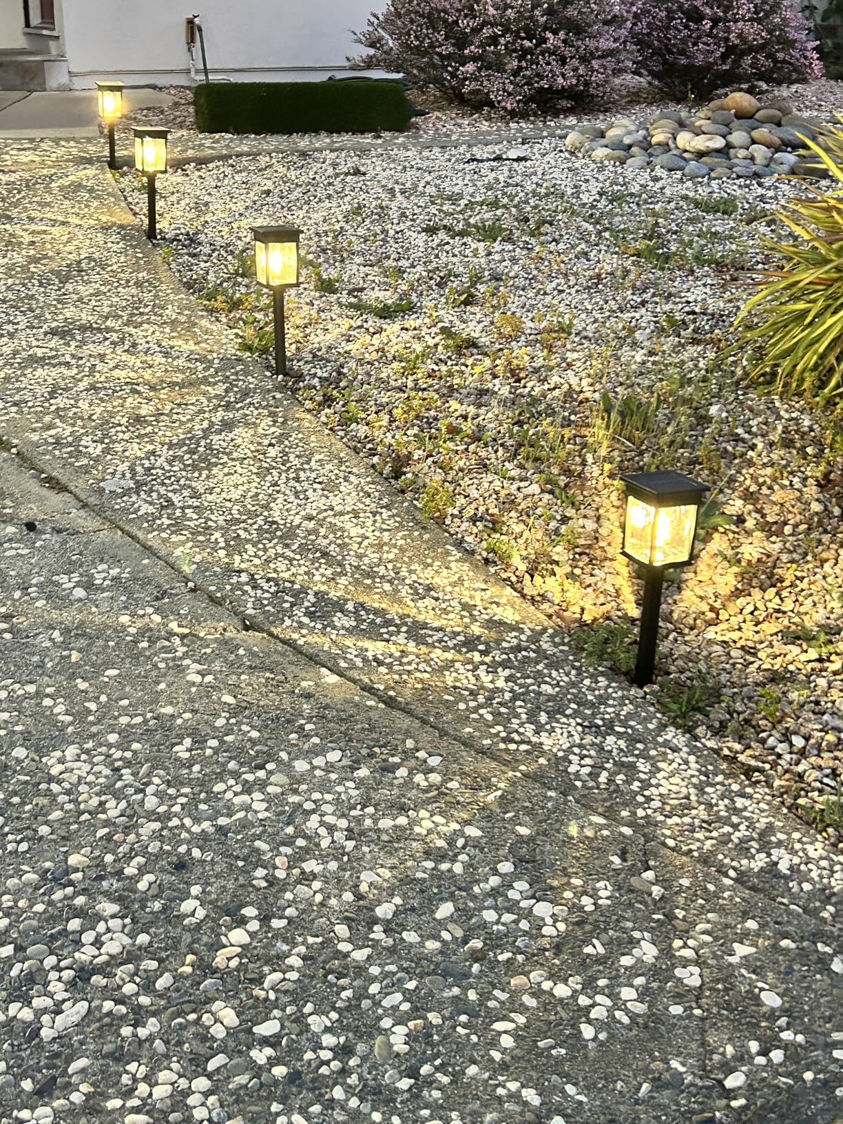XMCOSY+ Solar Pathway Lights Outdoor, Adjustable Warm & Cool White, 50 Lumens Bright Garden Lights, 6 Pack IP65 Waterproof customer photo 2