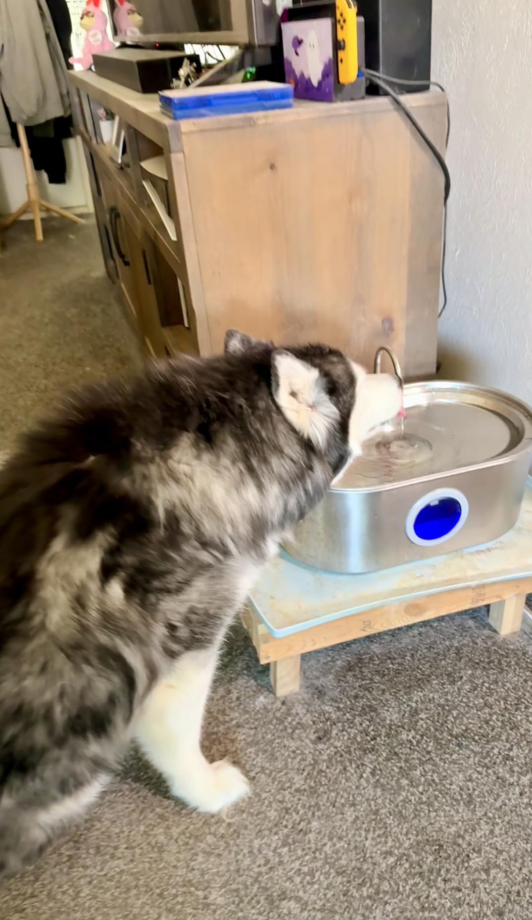 4.2Gal Dog Water Fountain for Large Dogs, 16L Stainless Steel Dog Fountain Water Bowl with Multi-Filtration & Deeper Drinking Tray, Extra Large Pet Water Fountain with Water Window & LED, Ultra-Quiet customer photo 1