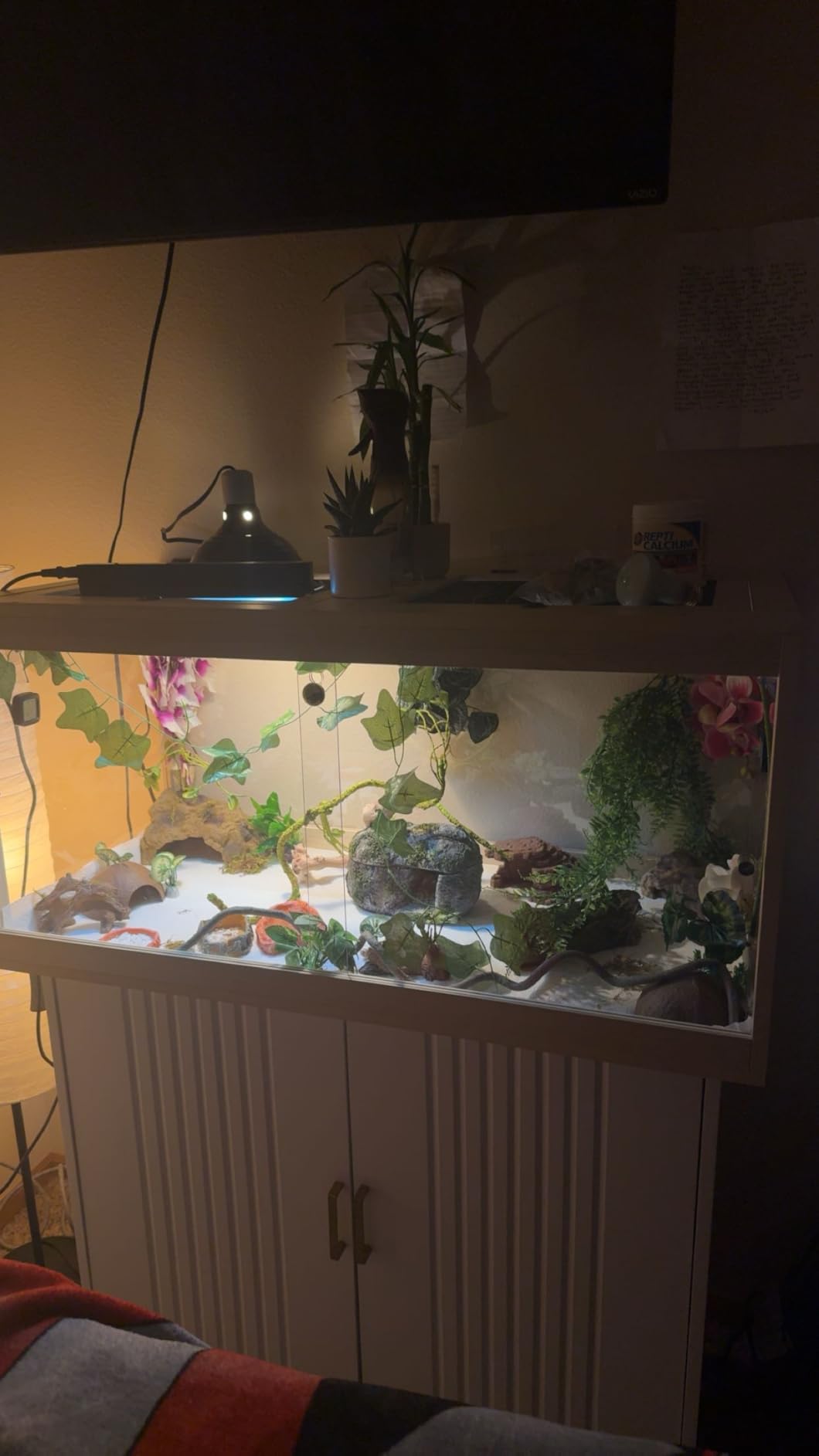 PROLEE Bearded Dragon Tank, 81 Gallon Reptile Tank with Meatl Mesh Roof and Front Sliding Door, Lizard Tank, Spacious Reptile Enclosure for Snakes, Lguanas, Chameleons (Black) customer photo 1
