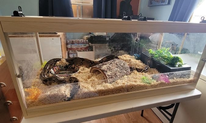 PROLEE Bearded Dragon Tank, 81 Gallon Reptile Tank with Meatl Mesh Roof and Front Sliding Door, Lizard Tank, Spacious Reptile Enclosure for Snakes, Lguanas, Chameleons (Black) customer photo 2