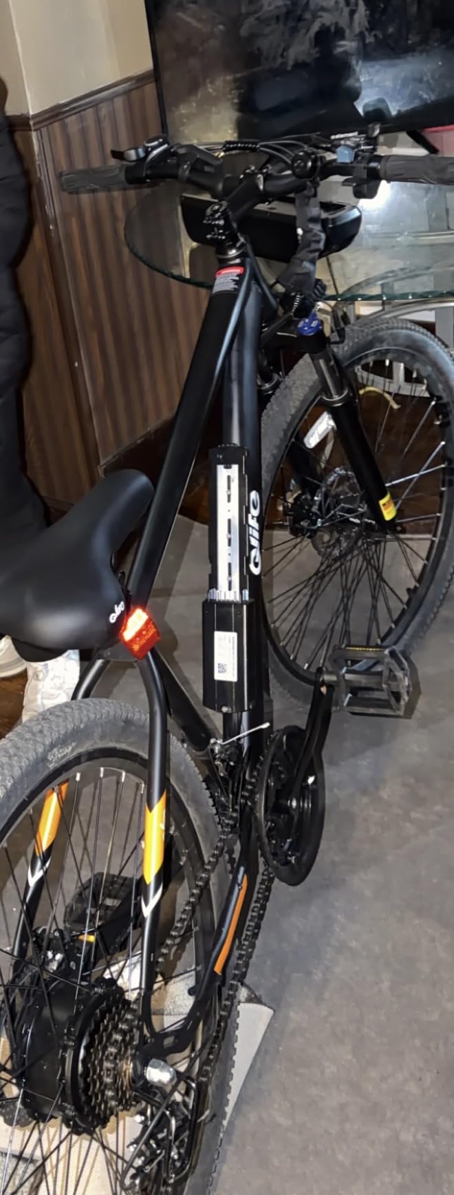 Qlife Racer Electric Bike for Adults - 21-Speed Mountain Lightweight Ebike with Peak 1000W Brushless Motor, 48V 375Wh Removable Battery, 26X2.1 Tire Step Over E-MTB, Up to 40 Miles Range customer photo 2
