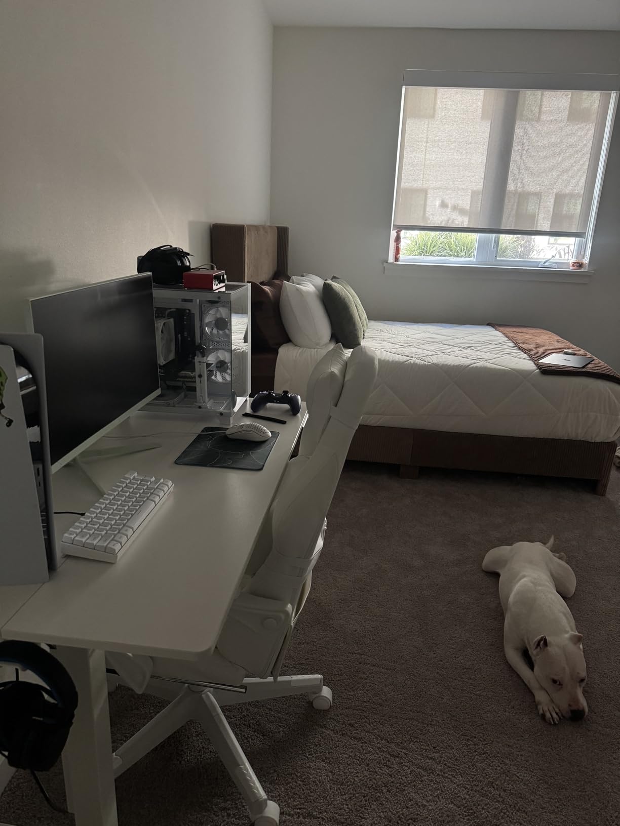LXZ Gaming PC Ryzen 5 5500, GeForce RTX 3050 8GB, 16GB DDR4 RAM, 512GB NVME 3.0 SSD, White Prebuilt Desktop Computer for Gaming & Productivity customer photo 1