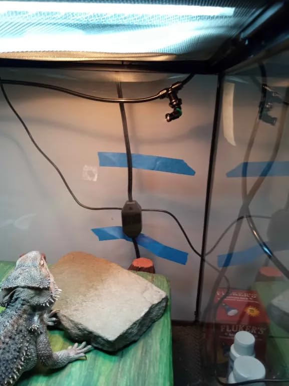 J&A Reptile Mister Automatic Misting System with Temp & Humidity Probe, Adjustable Spray Nozzles, Quiet Operation for Chameleons customer photo 2