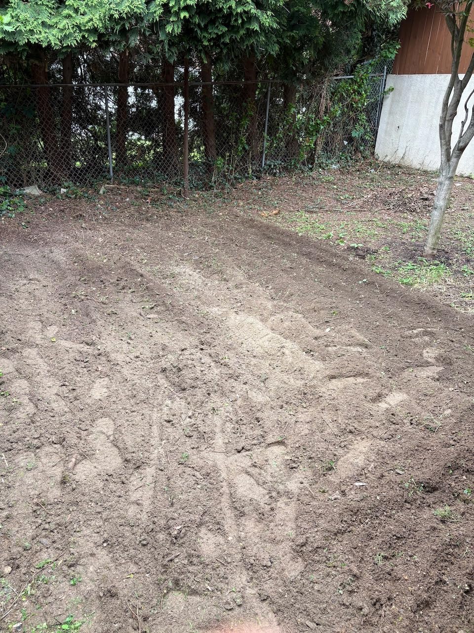 MZK 16-Inch 13.5-Amp Corded Electric Tiller/Cultivator, 8-inch tillling Depth with Adjustable Wheels, Foldable Electric Rototiller for Lawn/Yard/Garden Soil Digging,TC16A08 customer photo 2