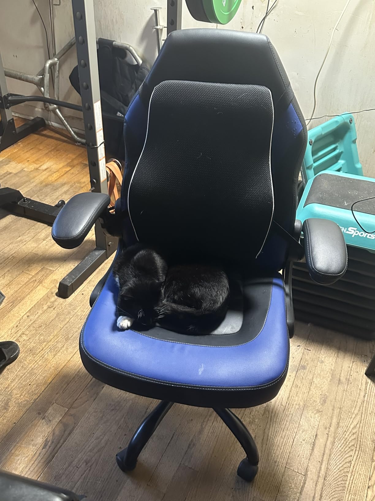 Sweetcrispy Computer Gaming Desk Chair - Big Tall Ergonomic Lumbar Support with Flip-up Armrest and 360° Swivel Wheels, PU Leather Height Adjustable, for Home and Office, Black customer photo 1
