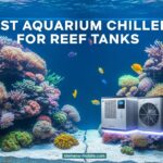 Best Aquarium Chillers for Reef Tanks