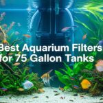 Best Aquarium Filters for 75 Gallon Tanks