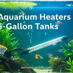 Best Aquarium Heaters for 55-Gallon Tanks