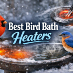 Best Bird Bath Heaters