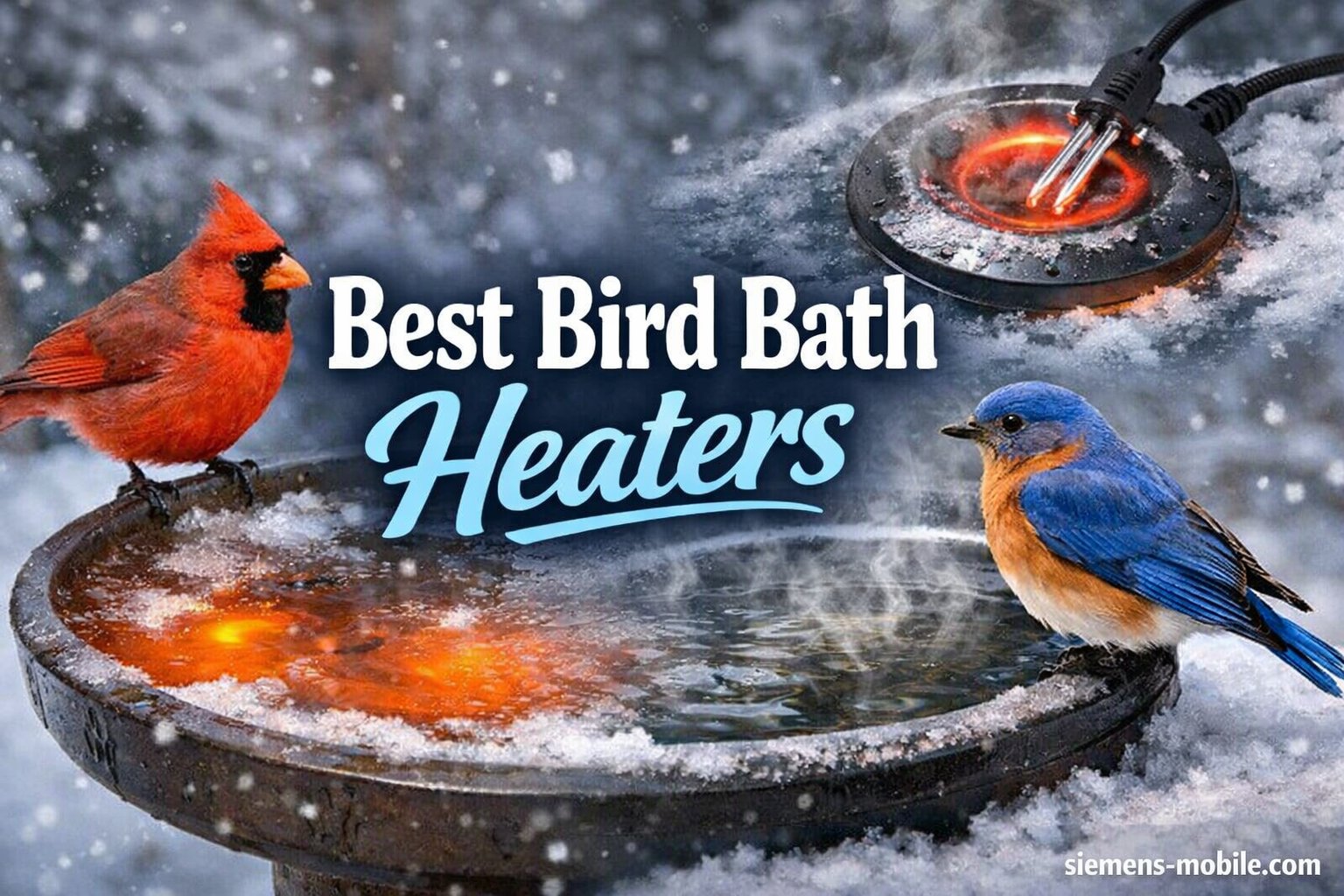Best Bird Bath Heaters