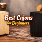 Best Cajons for Beginners