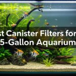 Best Canister Filters for 55-Gallon Aquariums