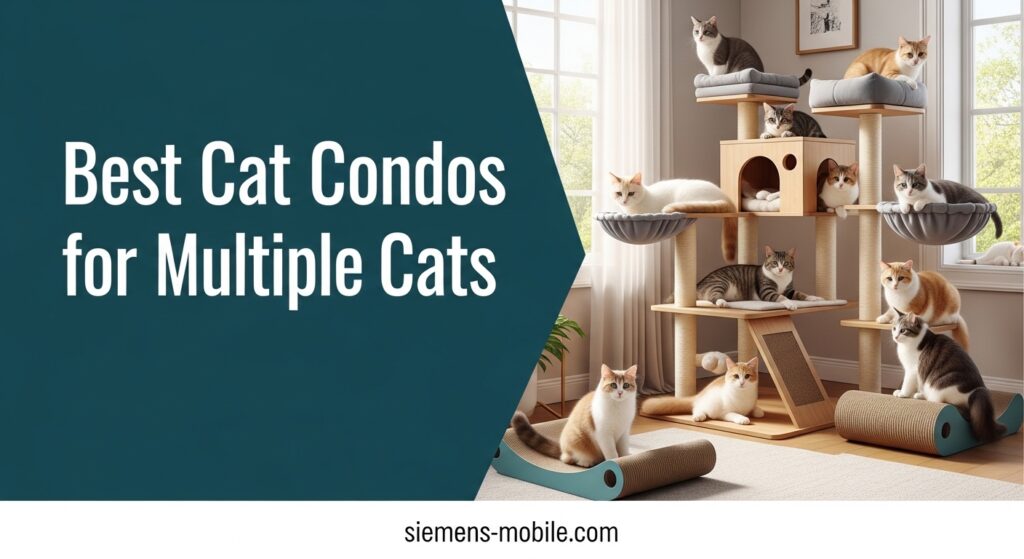 Best Cat Condos for Multiple Cats