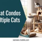Best Cat Condos for Multiple Cats