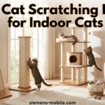 Best Cat Scratching Posts for Indoor Cats