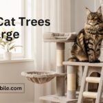Best Cat Trees for Large Cats