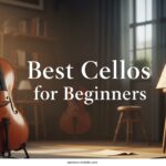 Best Cellos for Beginners