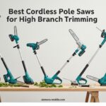 Best Cordless Pole Saws for High Branch Trimming
