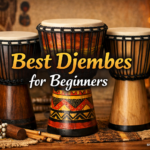 Best Djembes for Beginners
