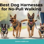 Best Dog Harnesses for No-Pull Walking