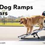 Best Dog Ramps for Cars