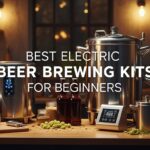 Best Electric Beer Brewing Kits for Beginners