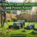 Best Electric Lawn Dethatchers and Power Rakes