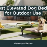 Best Elevated Dog Beds for Outdoor Use