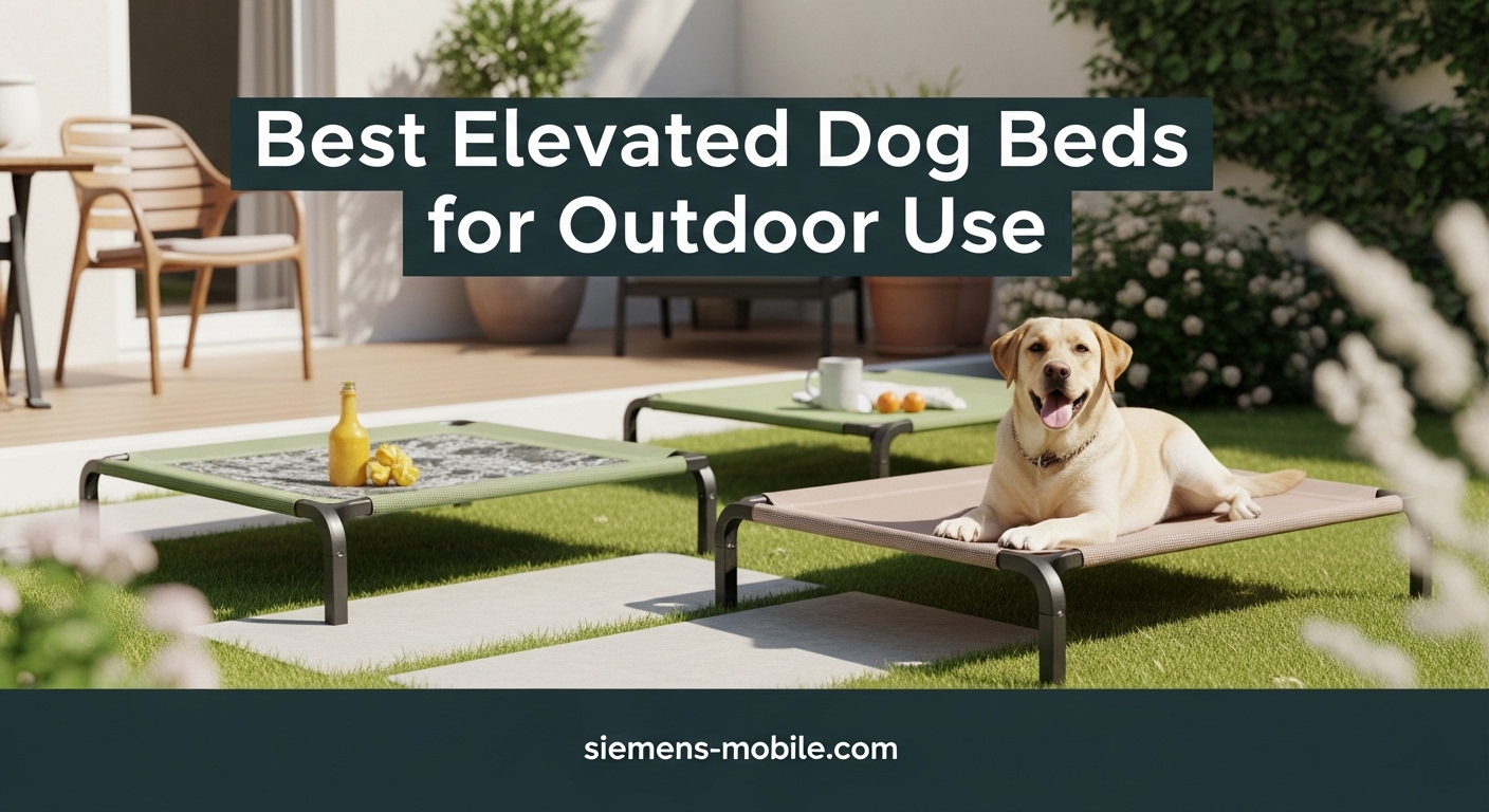 Best Elevated Dog Beds for Outdoor Use
