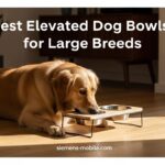 Best Elevated Dog Bowls for Large Breeds