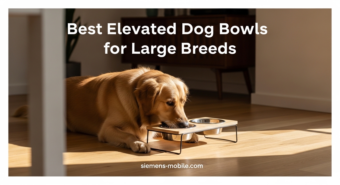 Best Elevated Dog Bowls for Large Breeds